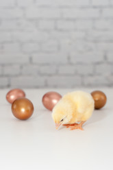 Similar image 1265929