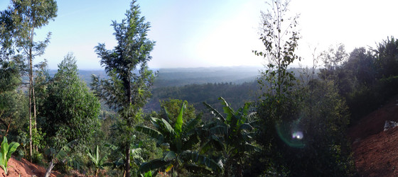 Similar image 1265943