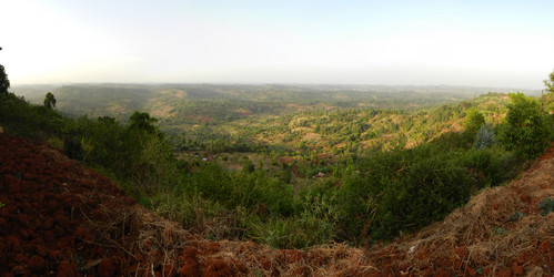 Similar image 1265944