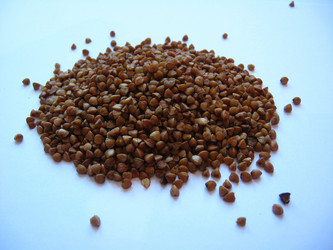 Similar image 1265963