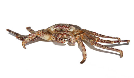 Similar image 1266015