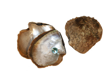 Similar image 1266016