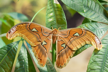 Similar image 1266020