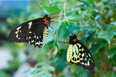 Similar image 1266023