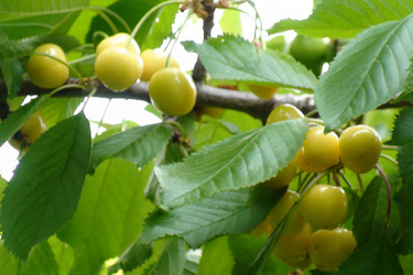 Similar image 1266029