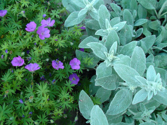 Similar image 1266030