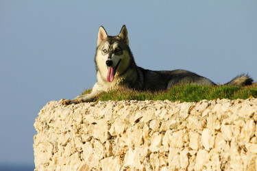 Similar image 1266041