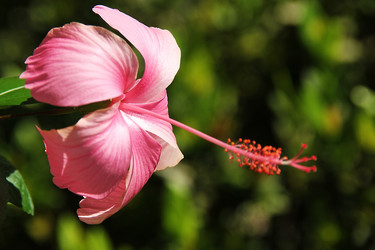 Similar image 1266044