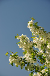 Similar image 1266045