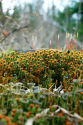 Similar image 1266065