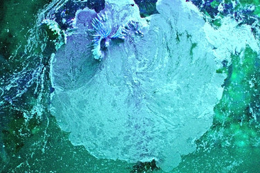 Similar image 1266066