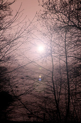 Similar image 1266067