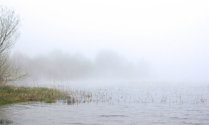 Similar image 1266068