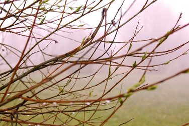 Similar image 1266069