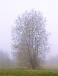 Similar image 1266070