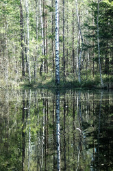 Similar image 1266071