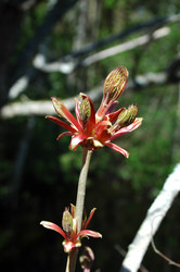 Similar image 1266072