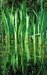 Similar image 1266073