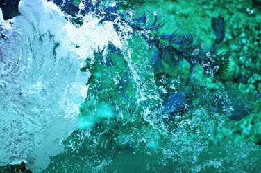 Similar image 1266074