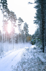 Similar image 1266075