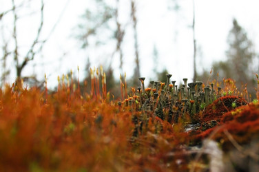 Similar image 1266076