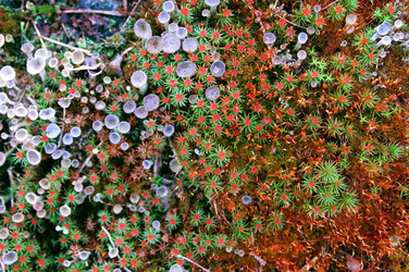 Similar image 1266078