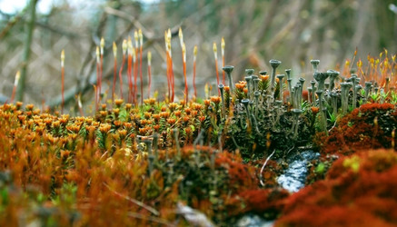 Similar image 1266079