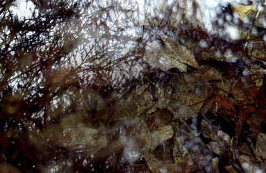 Similar image 1266081