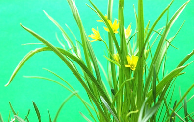 Similar image 1266082