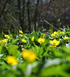 Similar image 1266084