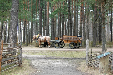 Similar image 1266085