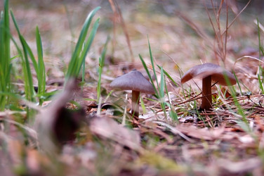 Similar image 1266086