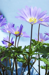 Similar image 1266088