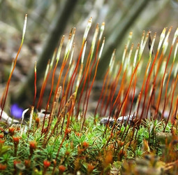 Similar image 1266090