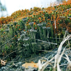 Similar image 1266091