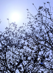 Similar image 1266092