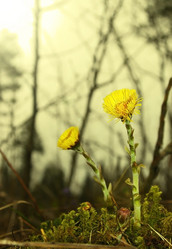 Similar image 1266093