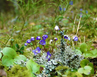 Similar image 1266094