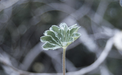 Similar image 1266101