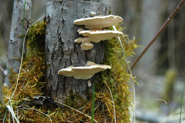 Similar image 1266102