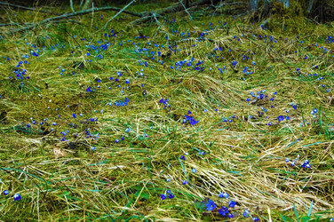 Similar image 1266103