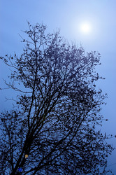 Similar image 1266104