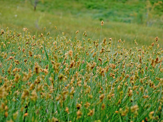 Similar image 1266119