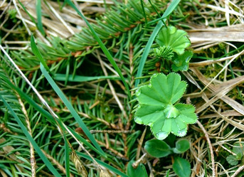 Similar image 1266126