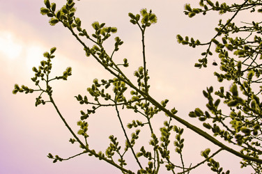 Similar image 1266131