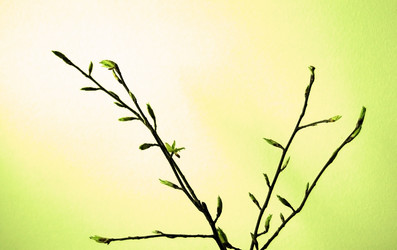 Similar image 1266133