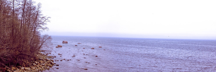 Similar image 1266134