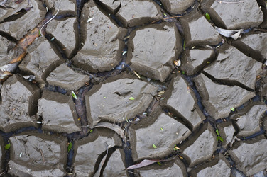 Similar image 1266166