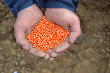 Similar image 1266249