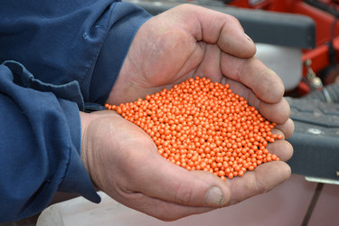 Similar image 1266250